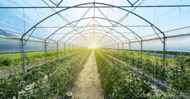 solar greenhouses